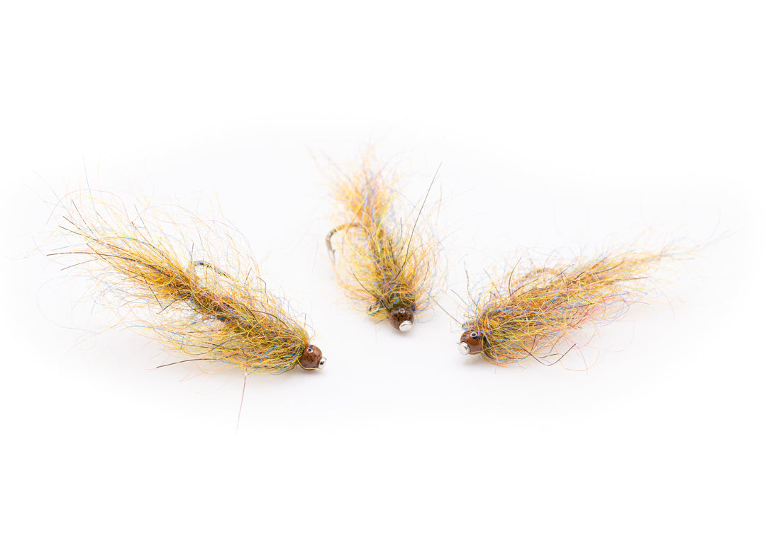 Canadian Olive