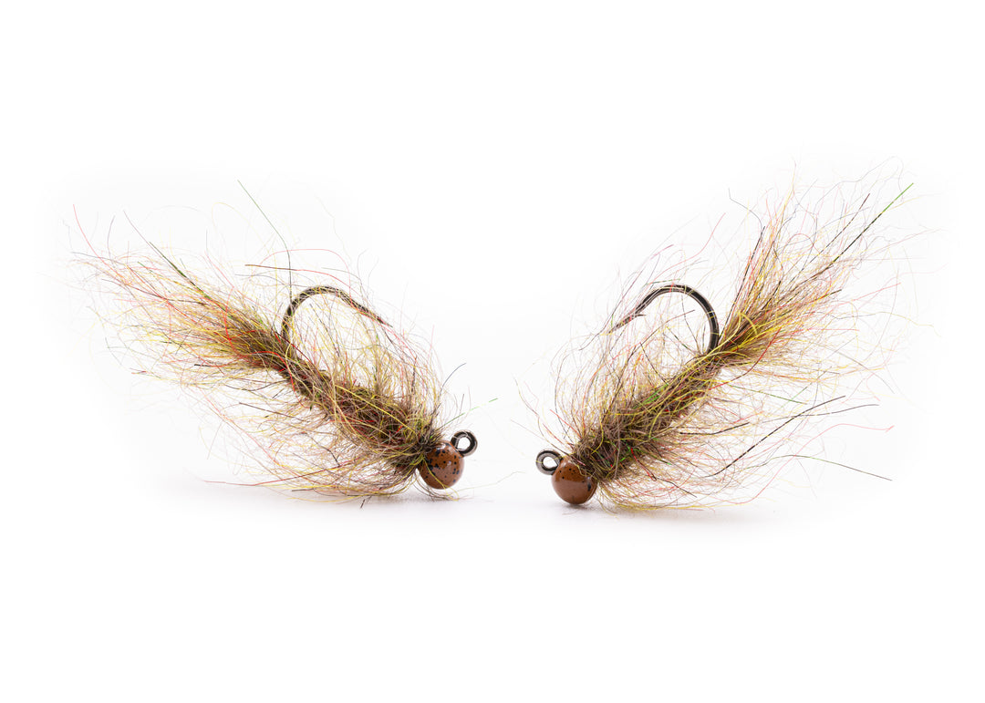 DW Brown