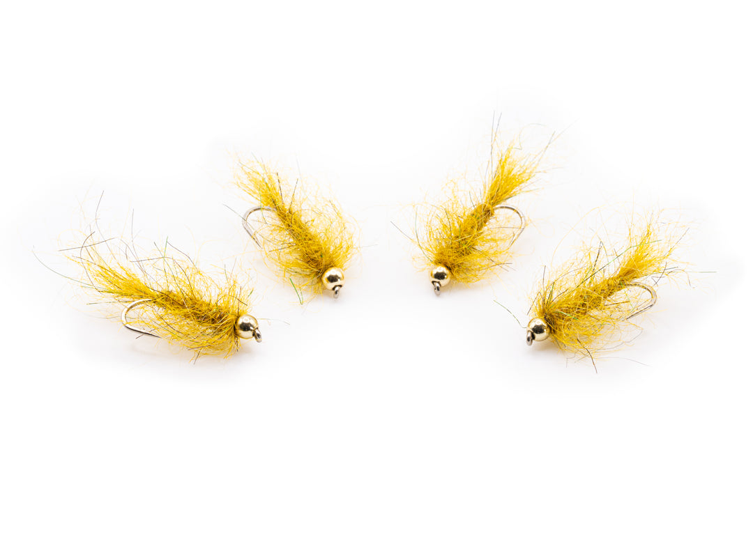 Golden Olive